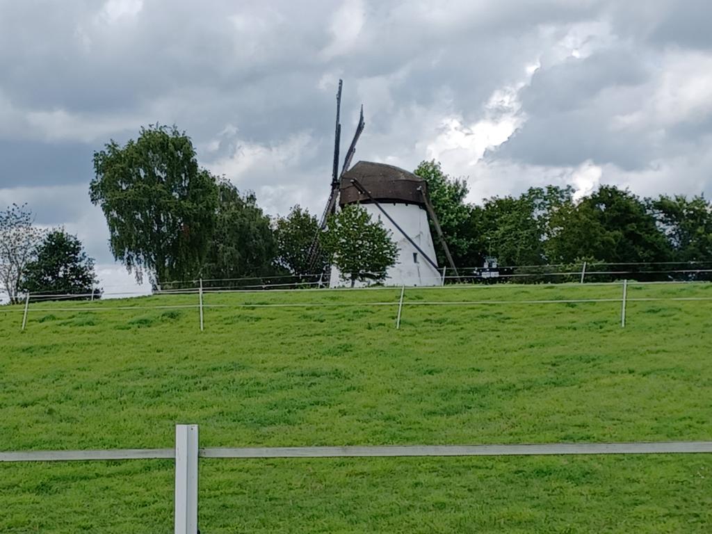 Windmühle bei Reken